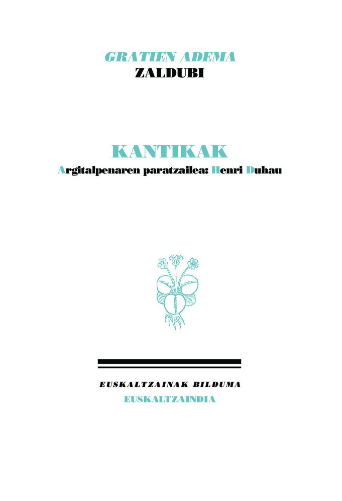 Erregistroaren irudia