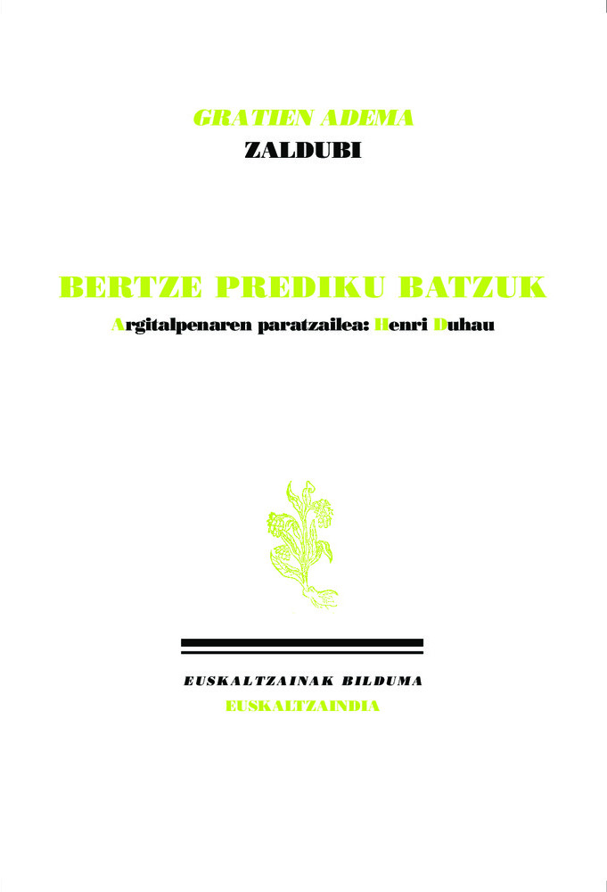Erregistroaren irudia
