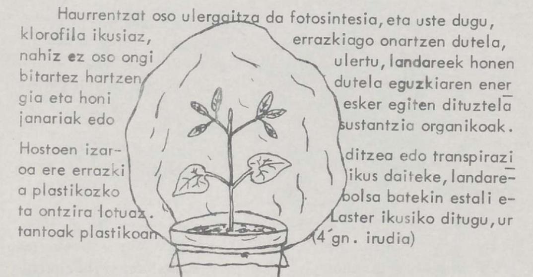 Gordailu - 16. zenbakia - 1972