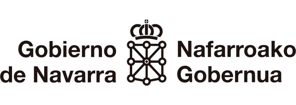 Nafarroako Gobernua
