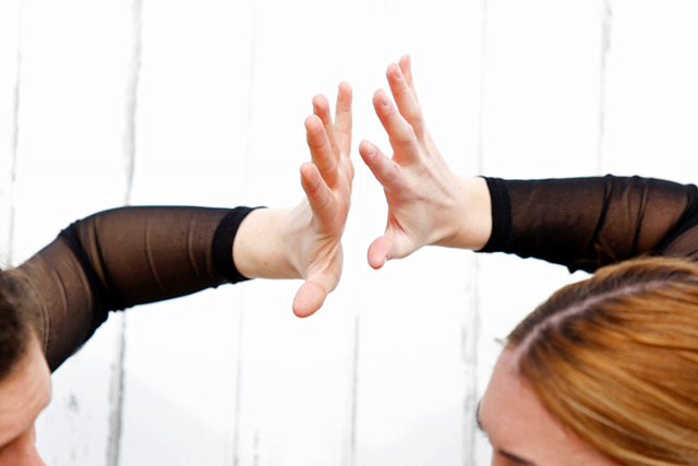 Aukeran BIZ HITZA David Herranz