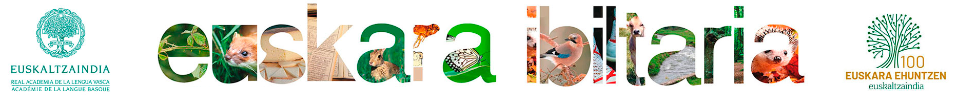 ibiltaria logo 2